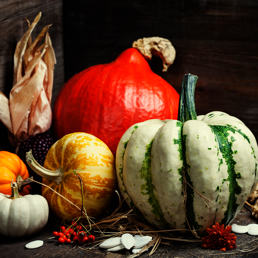 Bebida vegetal de semillas de calabaza – Kuvings España