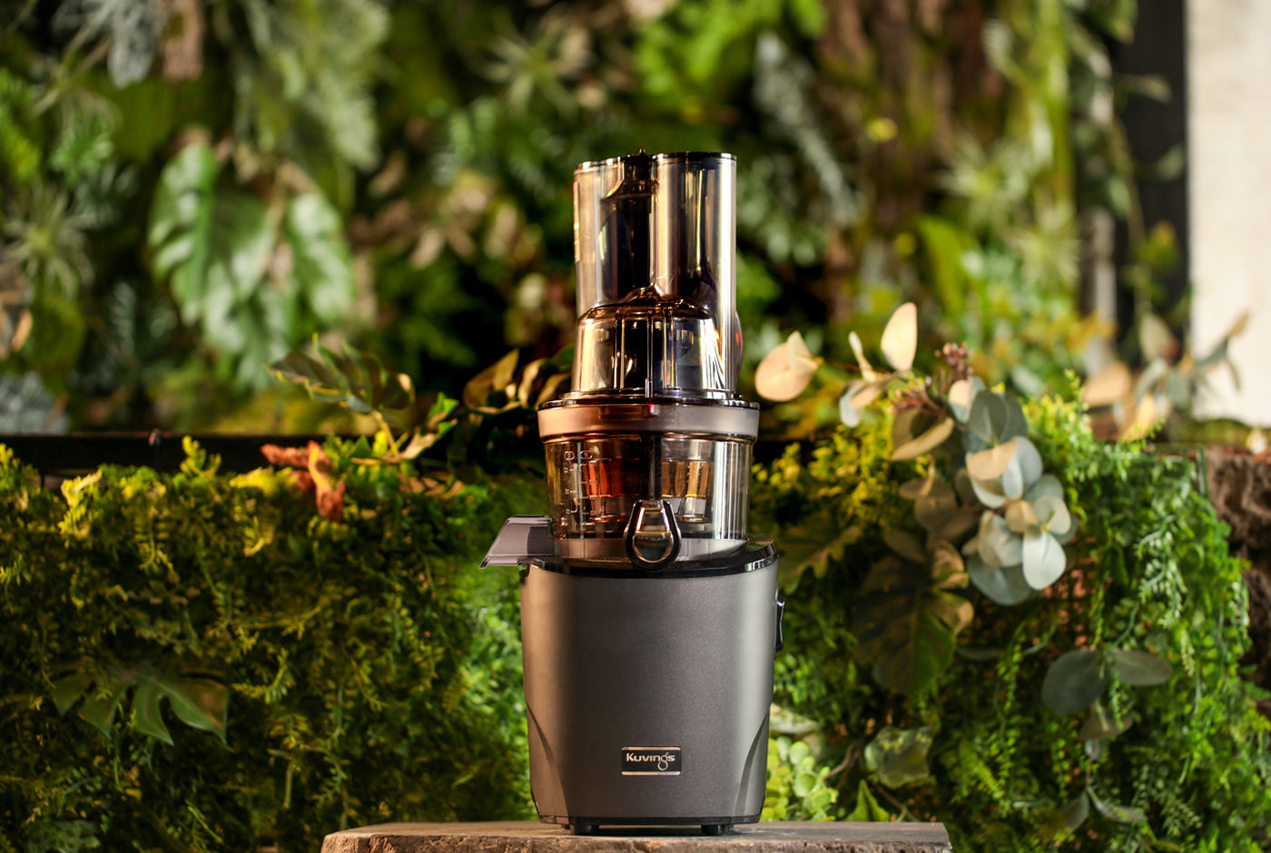 美品✨Kuvings Whole Slow Juicer REVO830 REVO830 Series – Kuvings USA